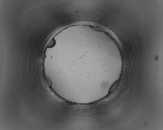 X0000089380860200707131656