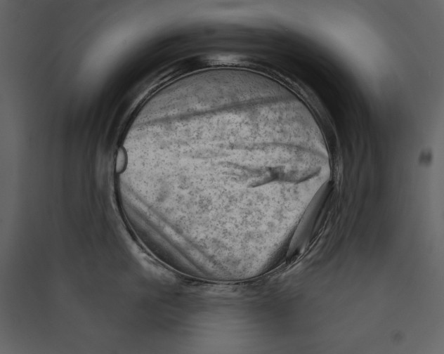 X0000089380861200707131656