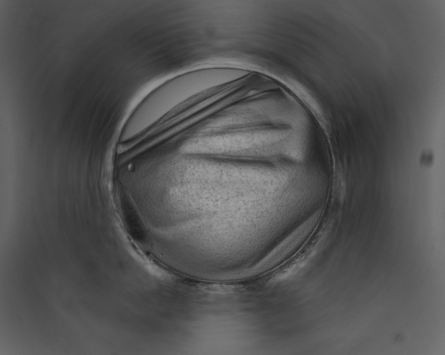 X0000089380862200707131656