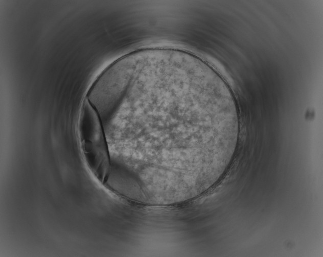 X0000089380863200707131656