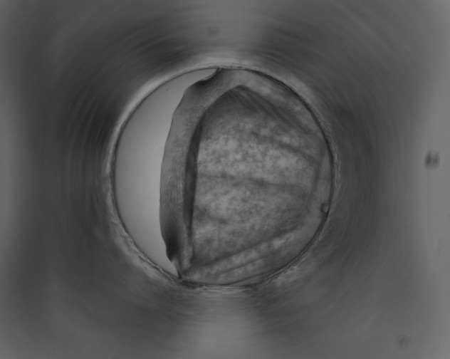 X0000089380864200707131656