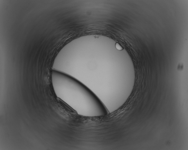 X0000089380868200707131656