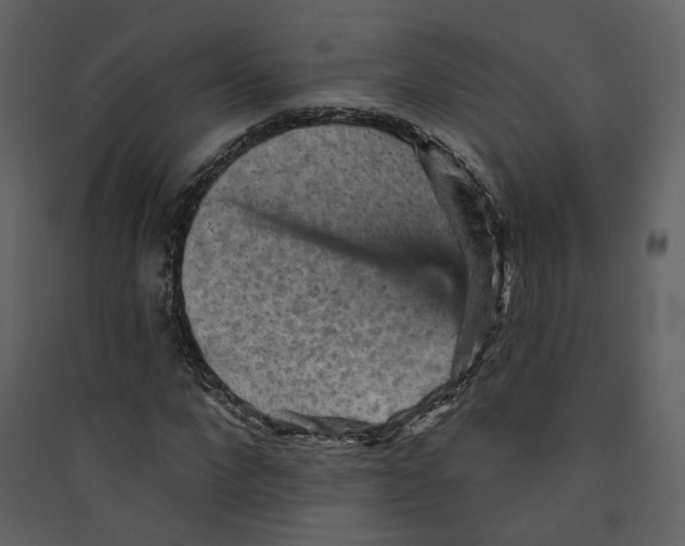 X0000089380872200707131656