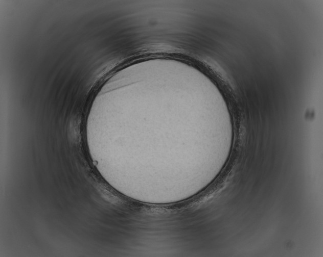 X0000089380873200707131656