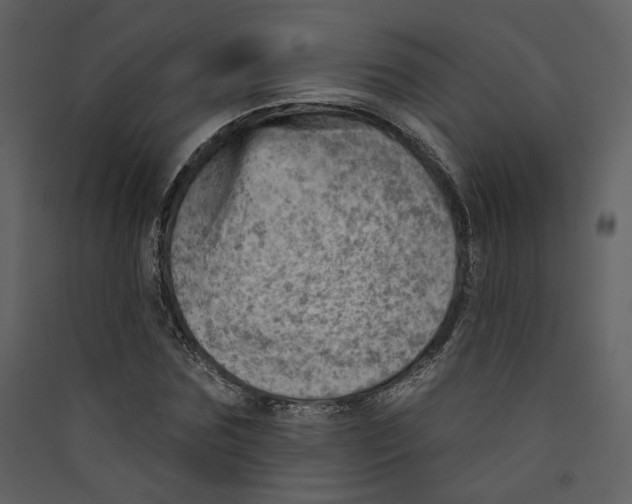 X0000089380875200707131656