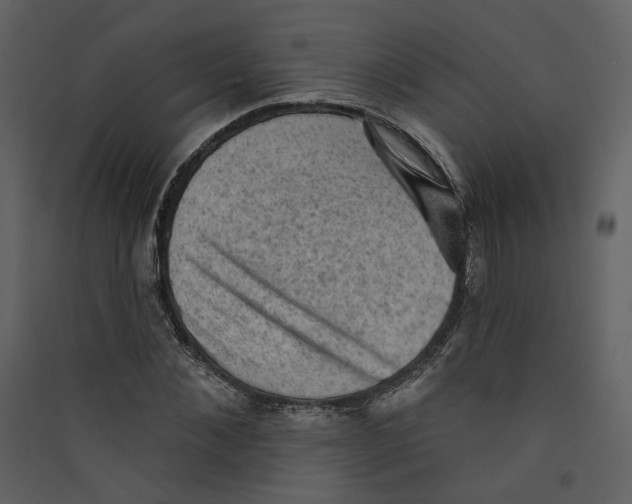 X0000089380876200707131656