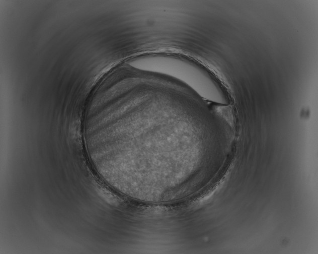 X0000089380881200707131656