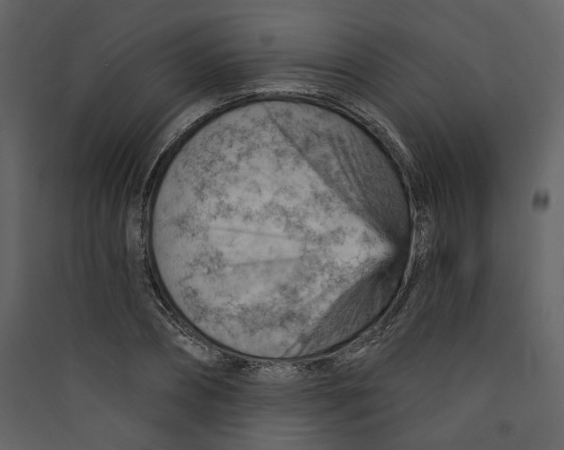 X0000089380882200707131656