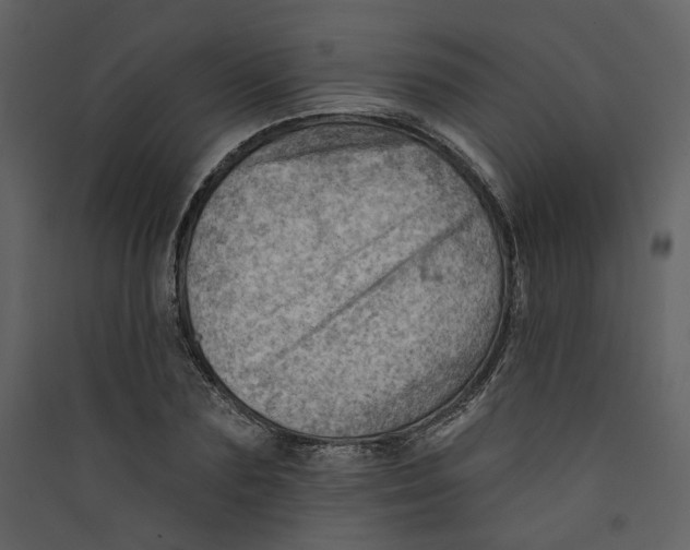 X0000089380883200707131656