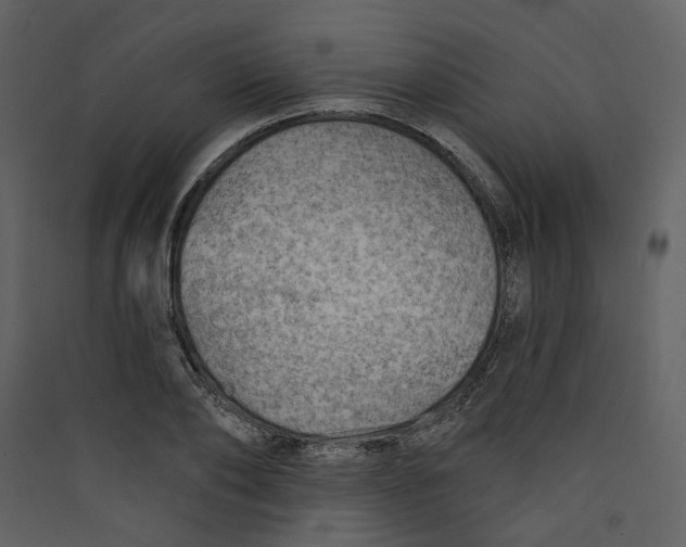 X0000089380886200707131656