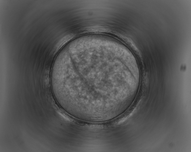 X0000089380889200707131655