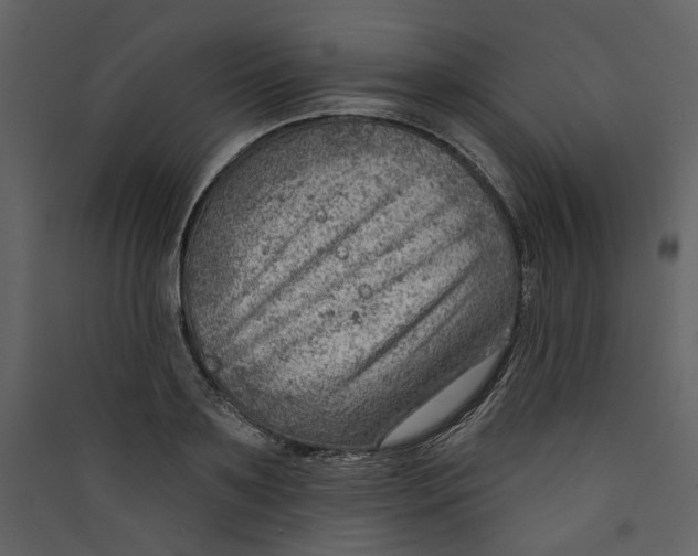 X0000089380891200707131655