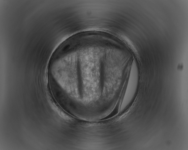 X0000089380892200707131655