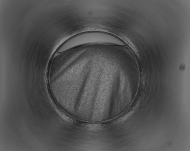 X0000089380893200707131655