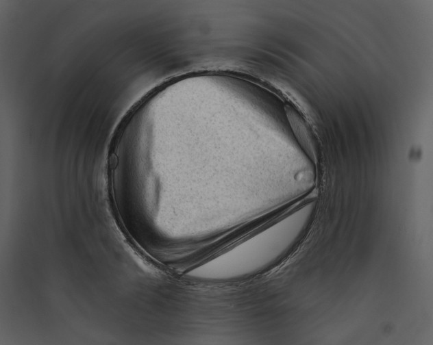 X0000089380894200707131655