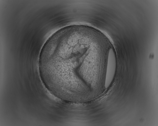 X0000089380895200707131655