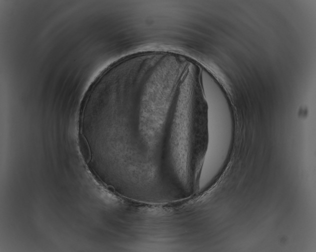 X0000089380896200707131655