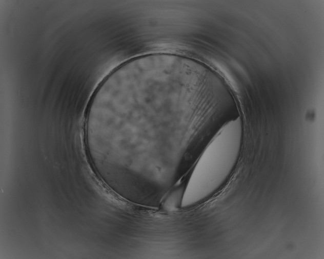 X0000089380899200707131655