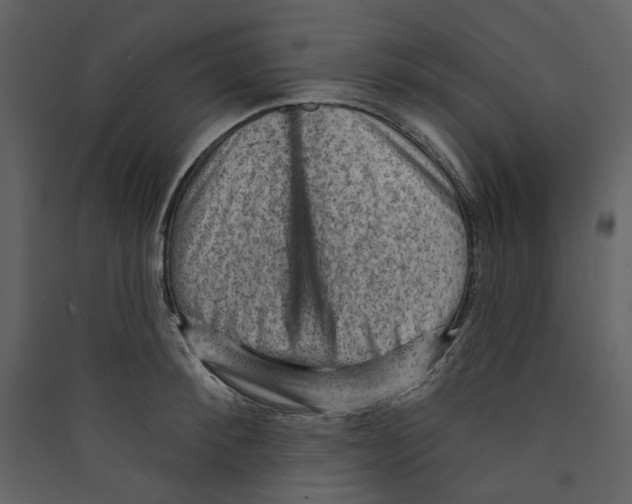 X0000089380900200707131655