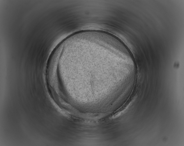 X0000089380901200707131655