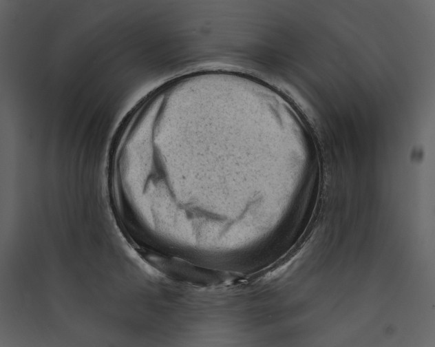 X0000089380902200707131655