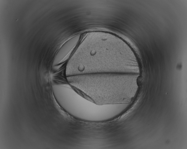 X0000089380905200707131655