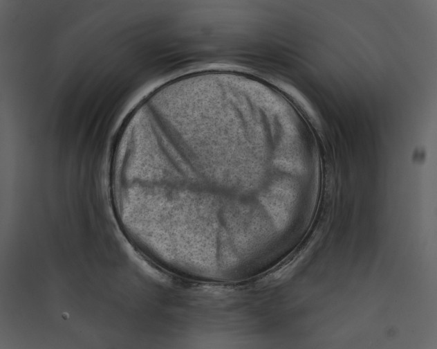 X0000089380910200707131655