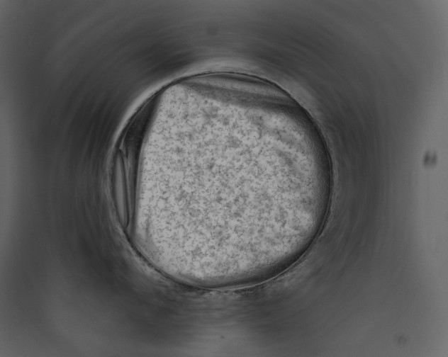 X0000089380912200707131655