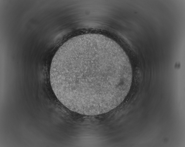 X0000089380918200707131655