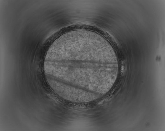 X0000089380919200707131655