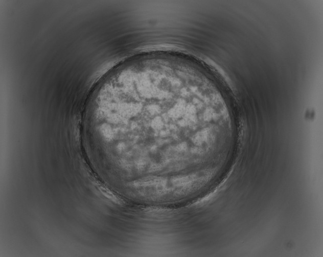 X0000089380921200707131655