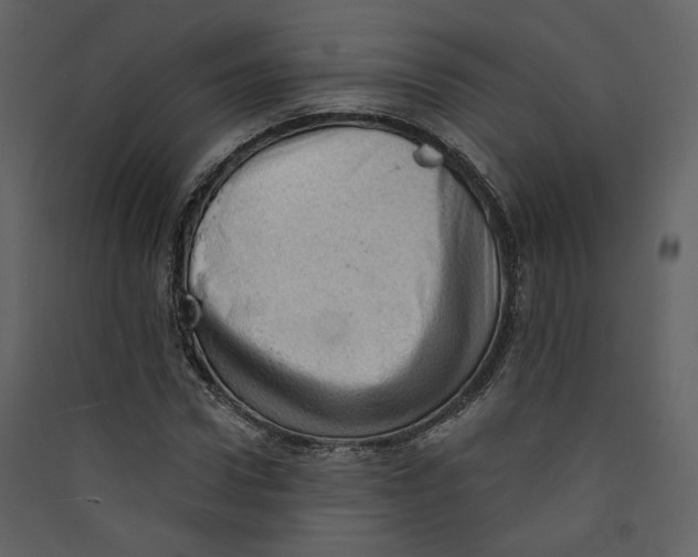 X0000089380922200707131655