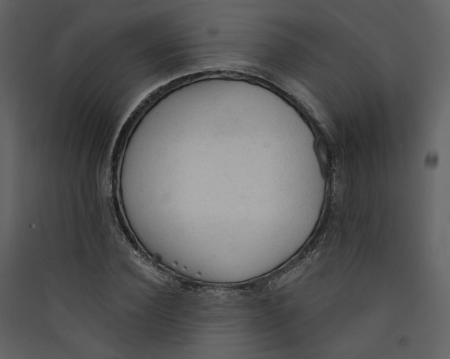 X0000089380924200707131655