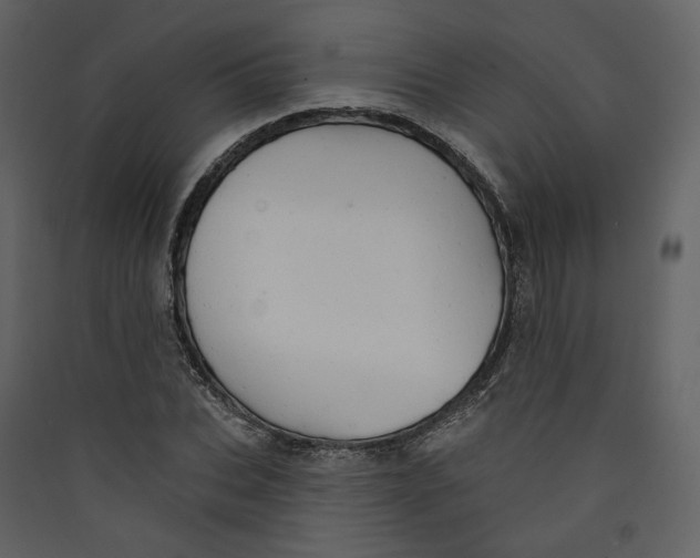 X0000089380927200707131655