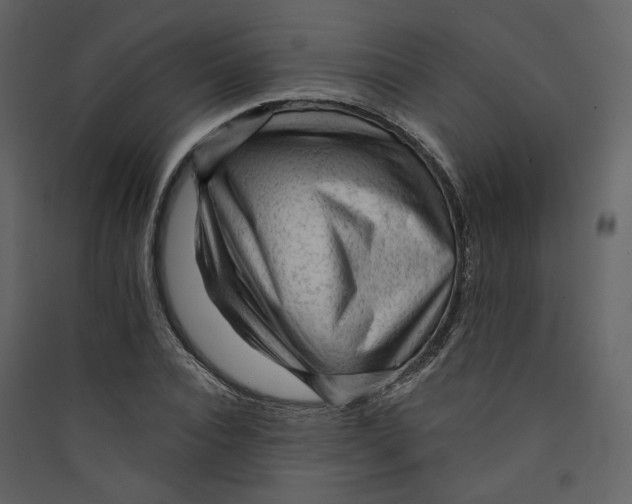 X0000089380928200707131655