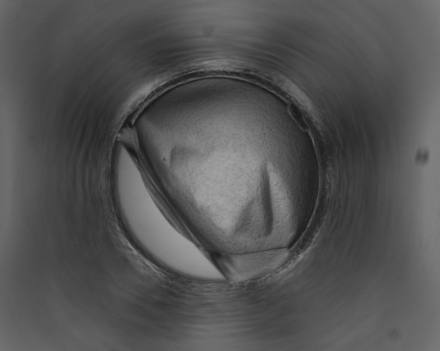 X0000089380930200707131655