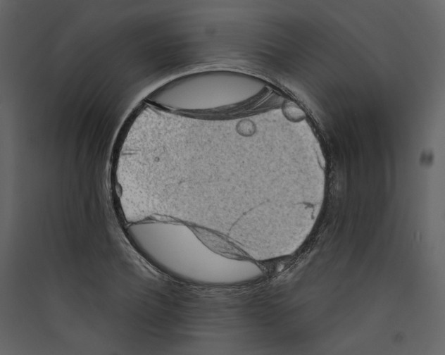 X0000089380932200707131655