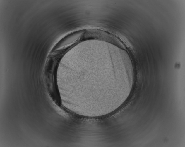 X0000089380934200707131655