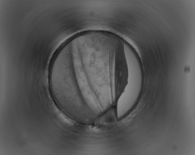 X0000089380935200707131655