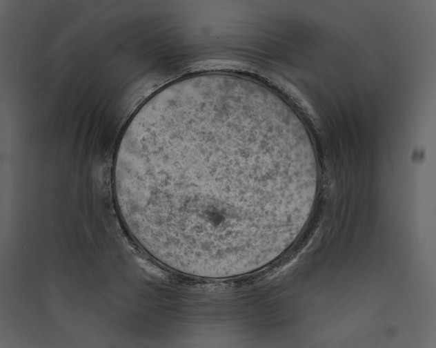 X0000089380937200707131655