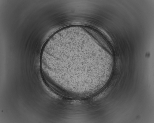 X0000089380938200707131655