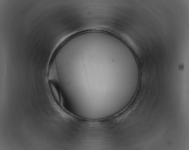 X0000089380940200707131655