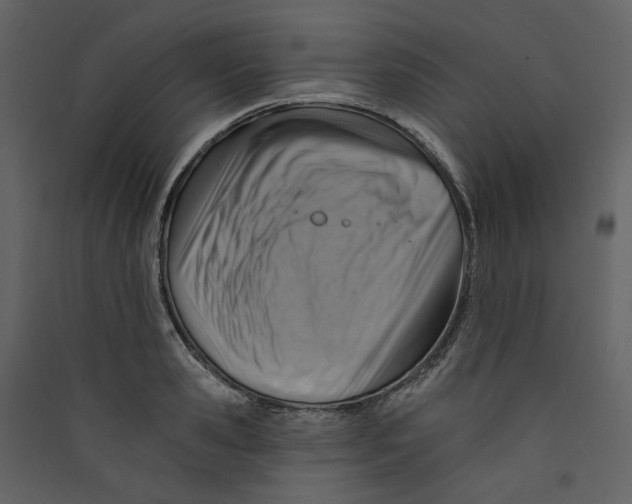 X0000089380941200707131655