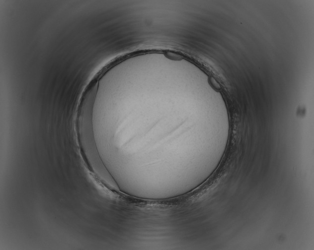 X0000089380942200707131655