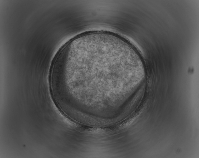 X0000089380943200707131655