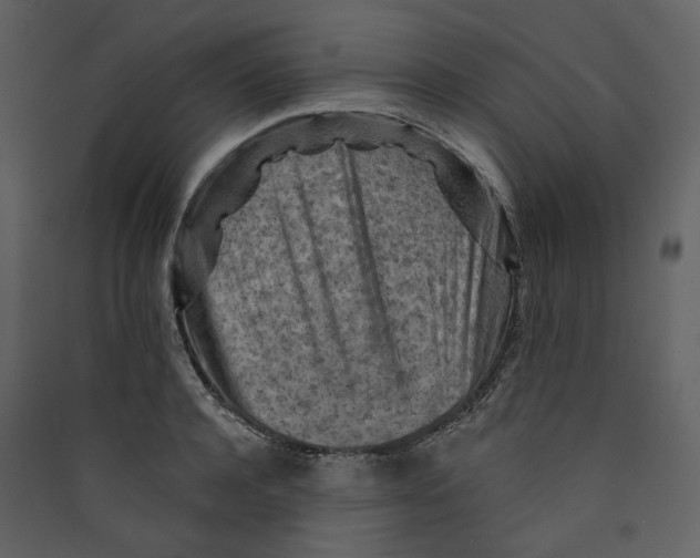 X0000089380944200707131655