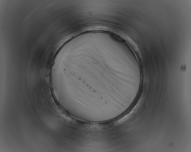 X0000089380945200707131655