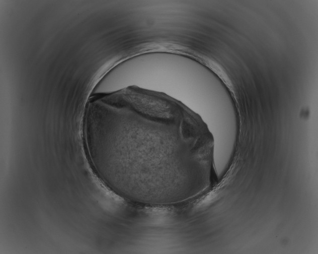 X0000089380946200707131655