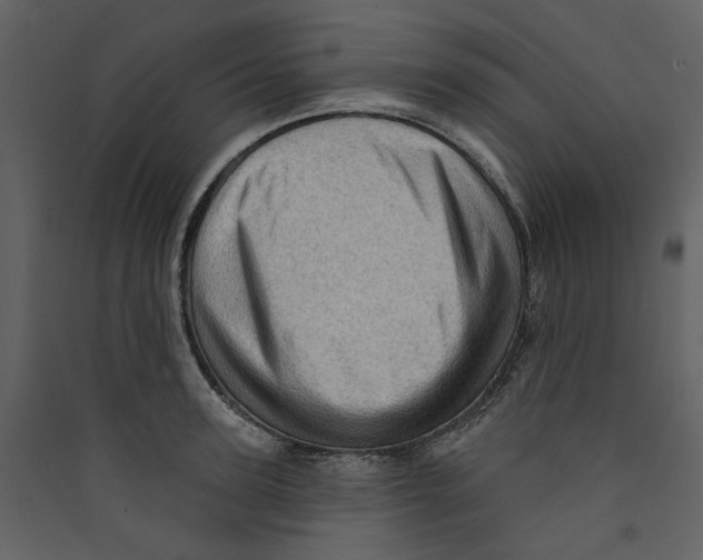 X0000089380947200707131655