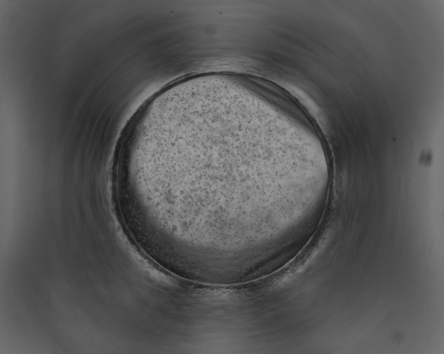 X0000089380949200707131655